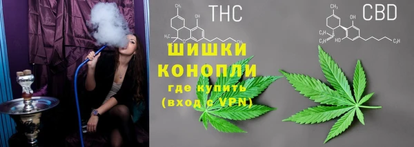 марки nbome Вяземский