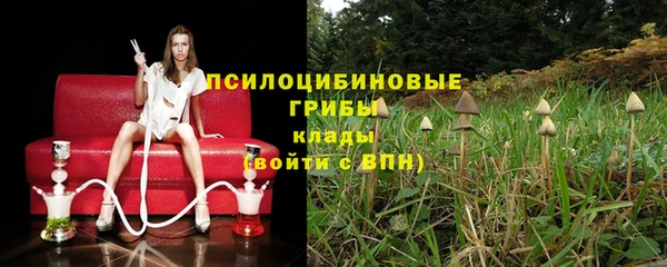 MDMA Premium VHQ Гусиноозёрск