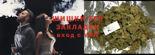 СК Гусь-Хрустальный